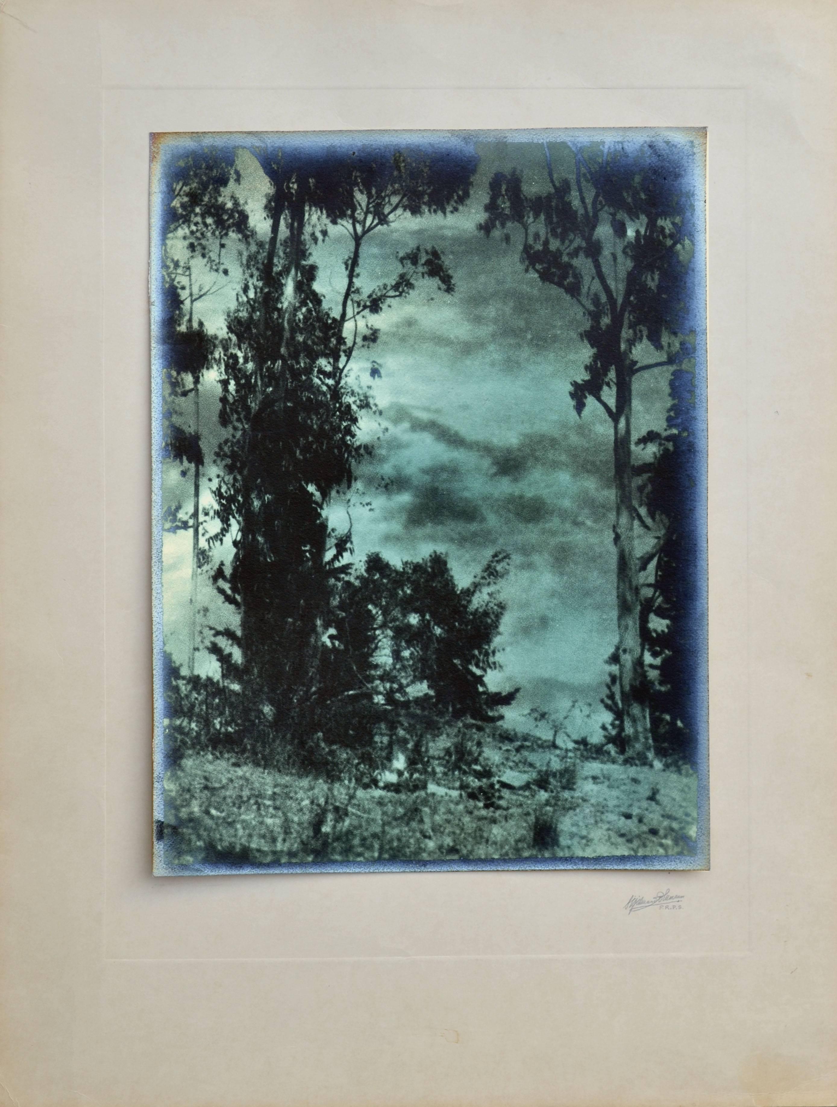 Landscape Photograph Sigismund Blumann - Paysage photographique du début du XXe siècle - Vue à travers le ciel