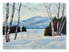 New Hampshire in White