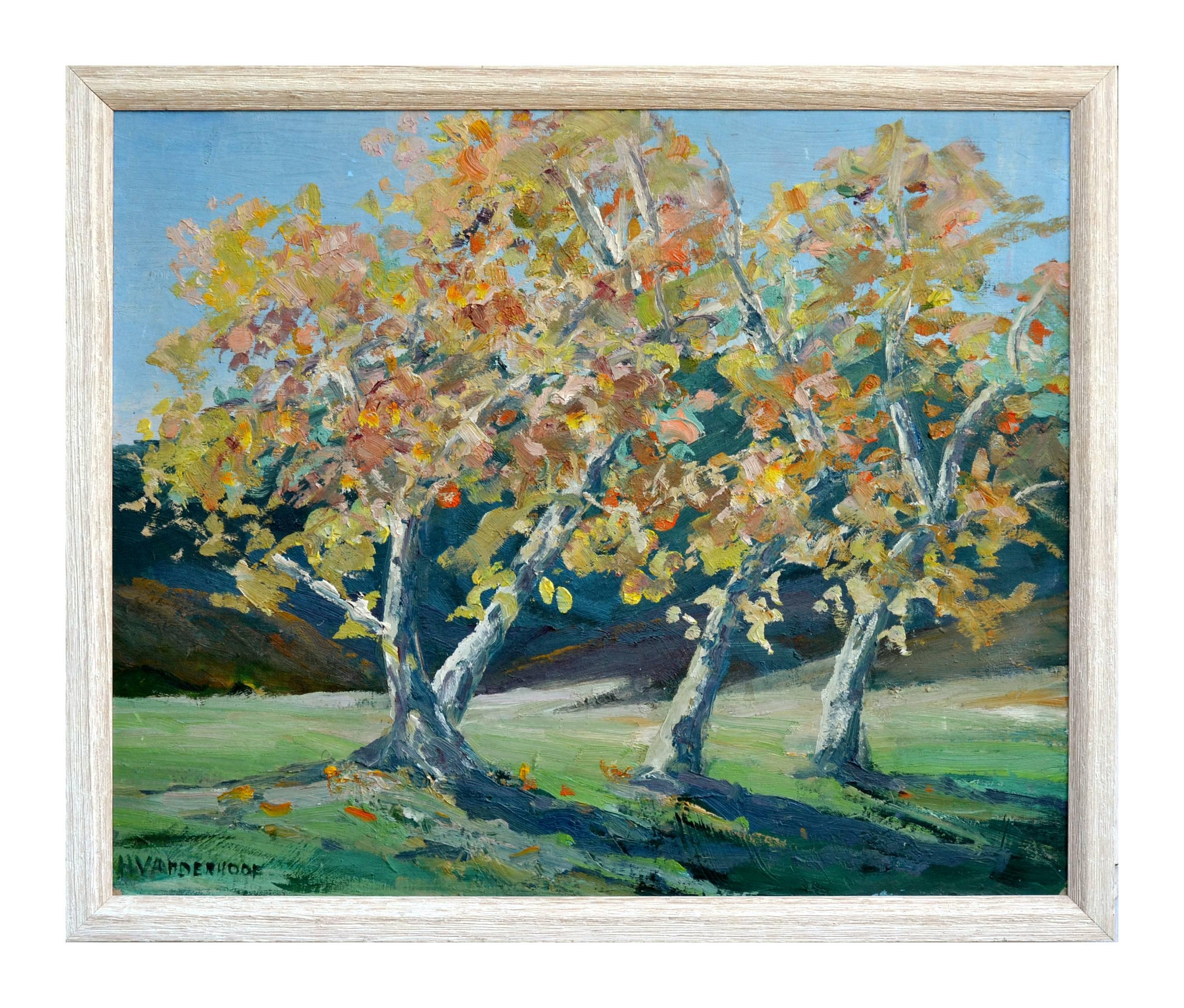 H. Vanderhoof Landscape Painting – Frühjahr im Carmel Valley Sycamores-Landschaft