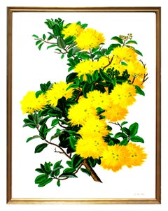 Vintage Hawaiian 'Ohi'a Still-Life, Large-Scale Yellow Flower Screen Print
