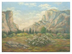 Between Half Dome and El Capitan