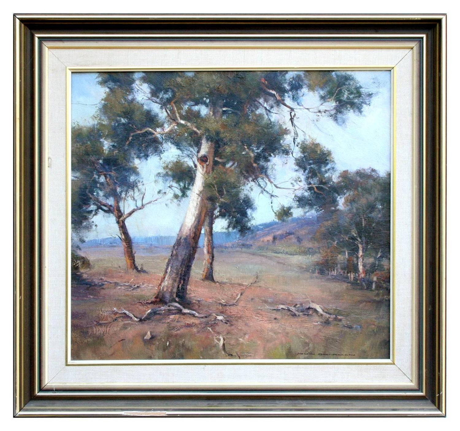 Ingen måde Ansigt opad Patent John Sharman (b.1947) - Australian Gum Trees Landscape For Sale at 1stDibs