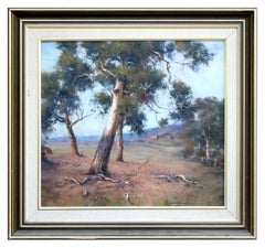 Paisaje de eucaliptos australianos