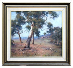 Paysage australien de Gum Trees