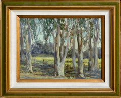 Eucalyptus Grove California Landscape