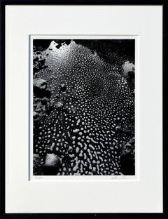 Bubbles, Big Sur 1970