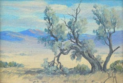 Mid Century Palm Springs Smoke Tree Desert Landscape