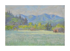 California Foothills in Spring