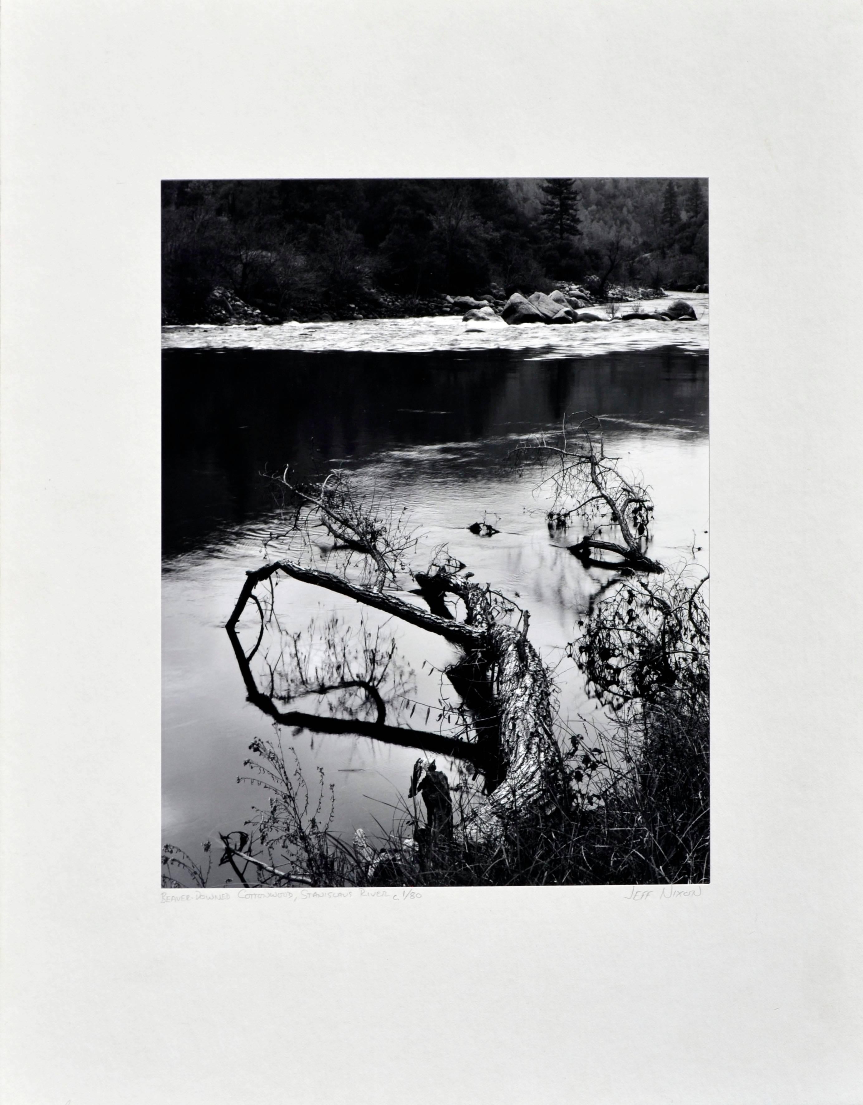 Jeff Nixon Landscape Photograph – ""Baumwollholz im Biberschliff", Schwarz-Weiß-Landschaft 
