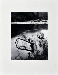 ""Baumwollholz im Biberschliff", Schwarz-Weiß-Landschaft
