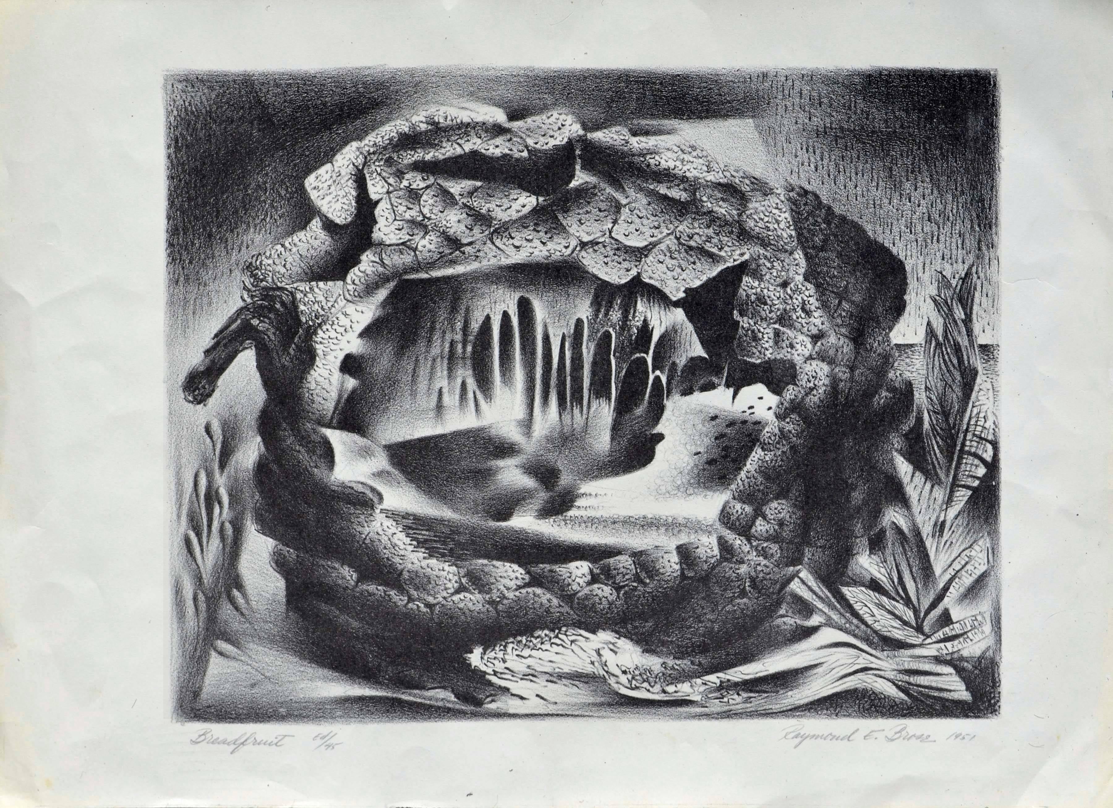 Raymond Edwin Brose Abstract Print - Mid Century Modern Breadfruit Abstract 