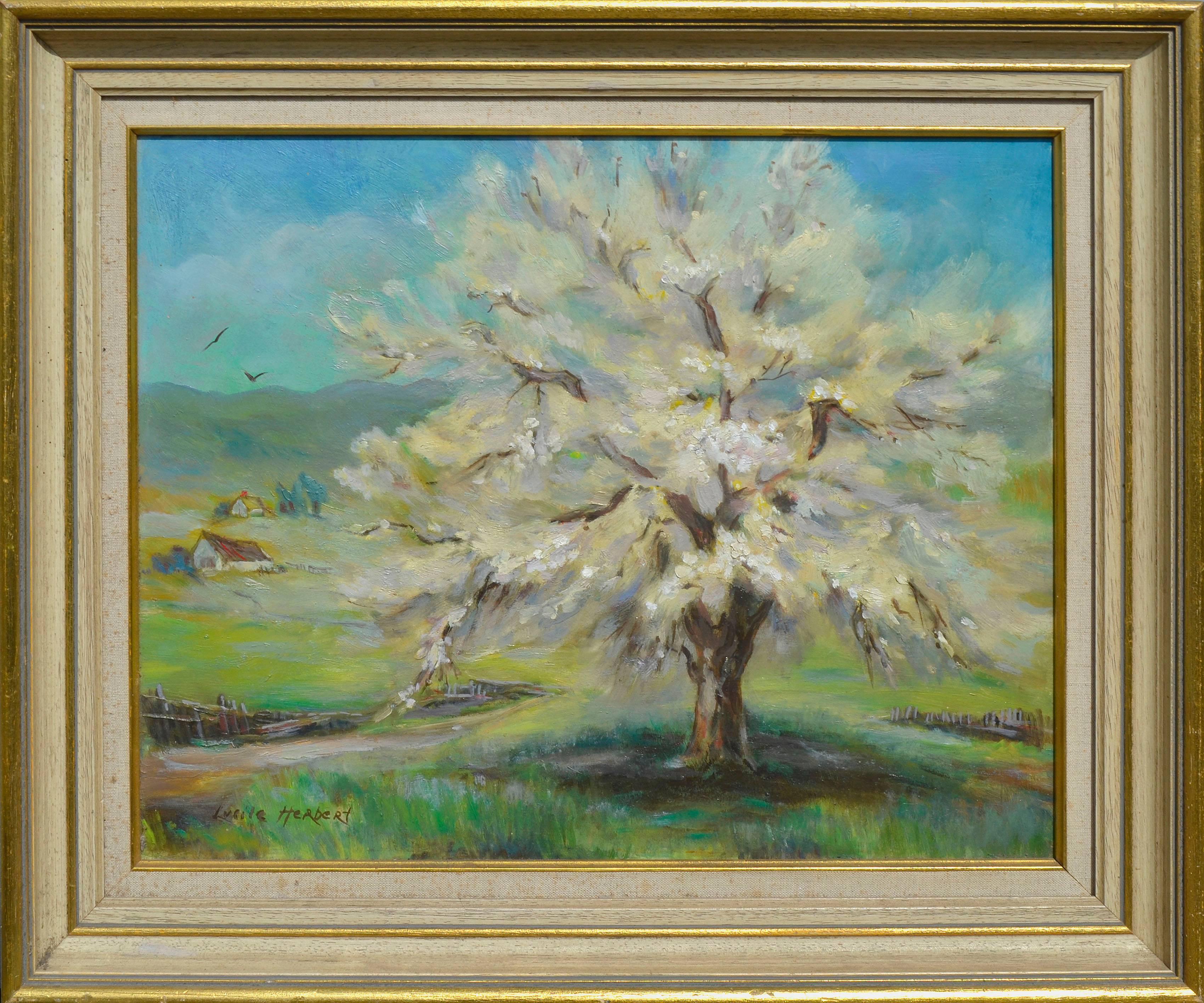 Lucile Herbert Landscape Painting – Frühlingsrosa Apricotbaum in Blüte – Landschaft aus der Mitte des Jahrhunderts 