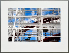 Used "Roller Coaster with Palms 2" - Santa Cruz Beach Boardwalk Color Photograph