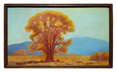 California Oak, 1935