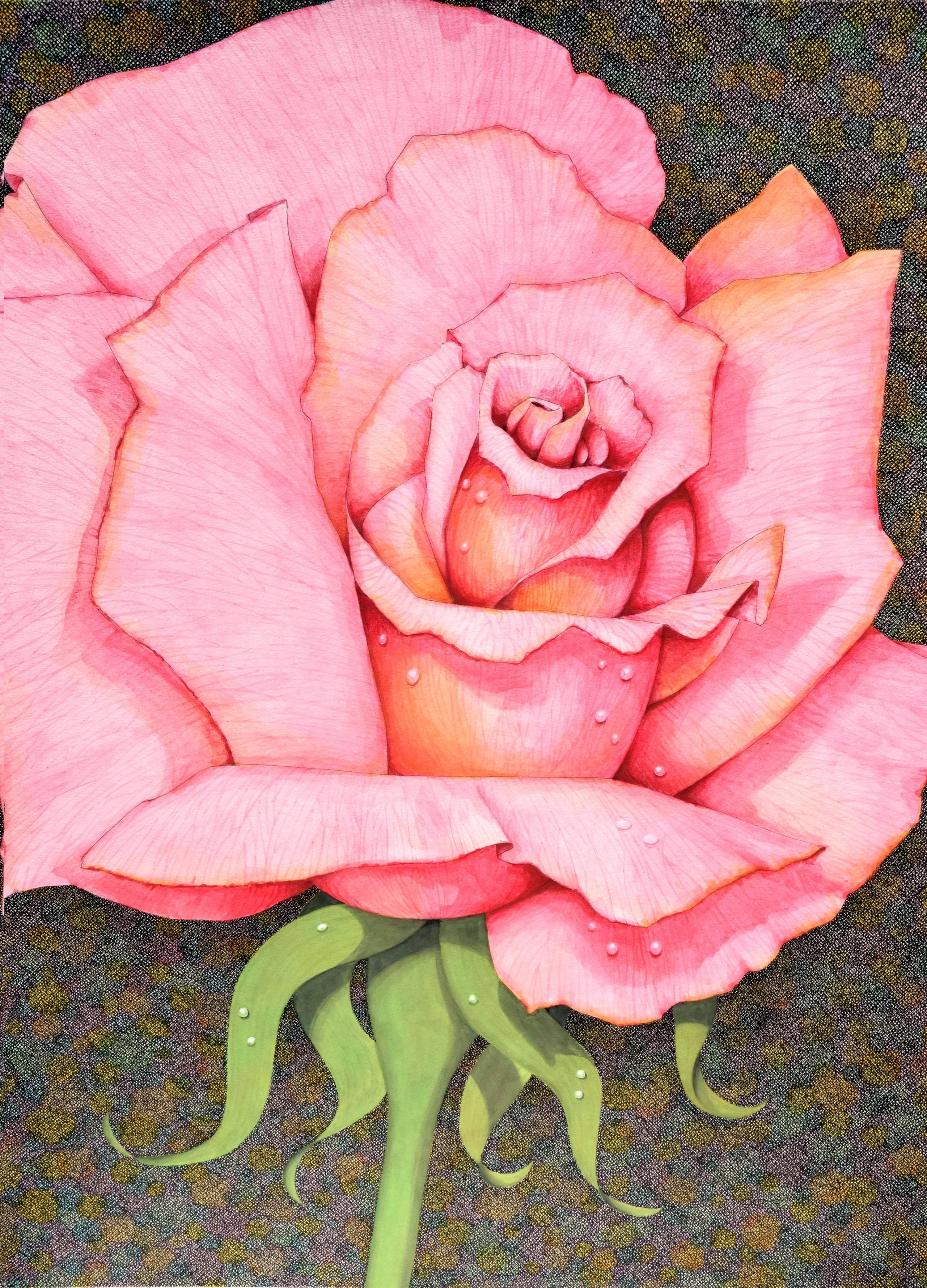 Vintage Rose Illustration -- 