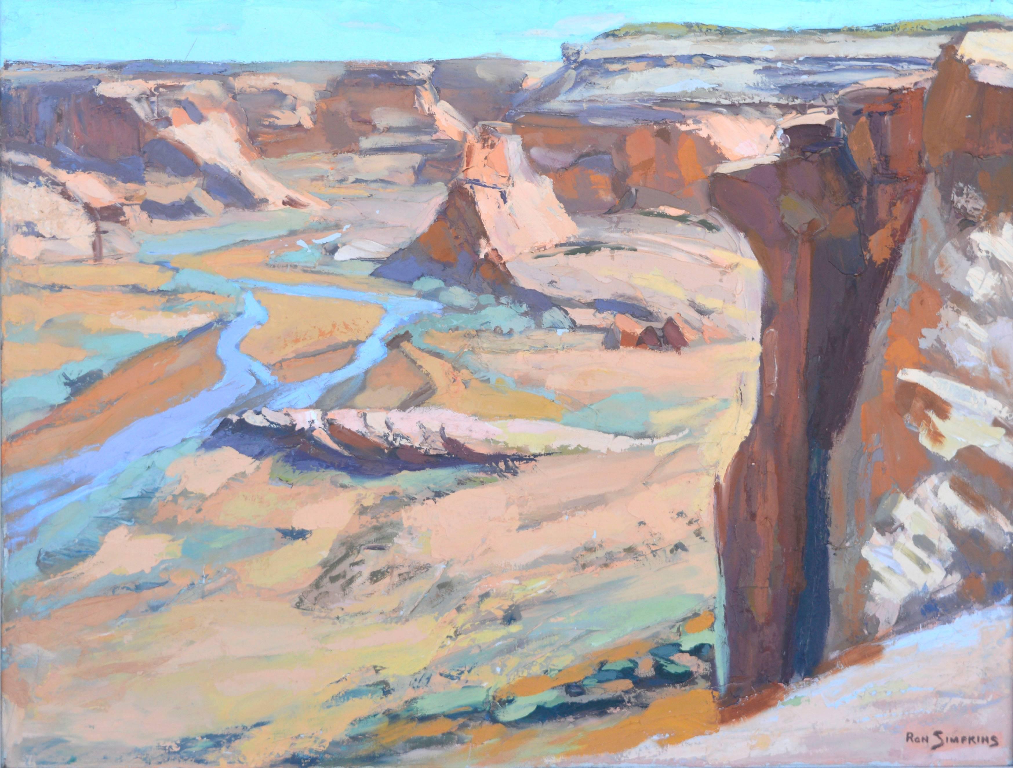 Grand Canyon, paysage de désert vintage à grande échelle des années 1970 par Ron Simpkins 1