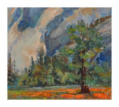Mid Century Glacier Point Yosemite Landscape