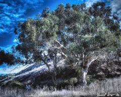 Road to Davenport Landscape Photograph