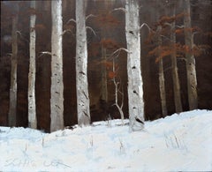 Colorado Birches in the Snow - Schissler