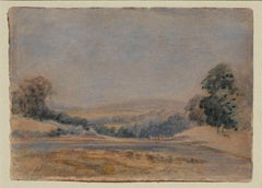 Golden Fields -Turn of 19th Century North Wales Landscape