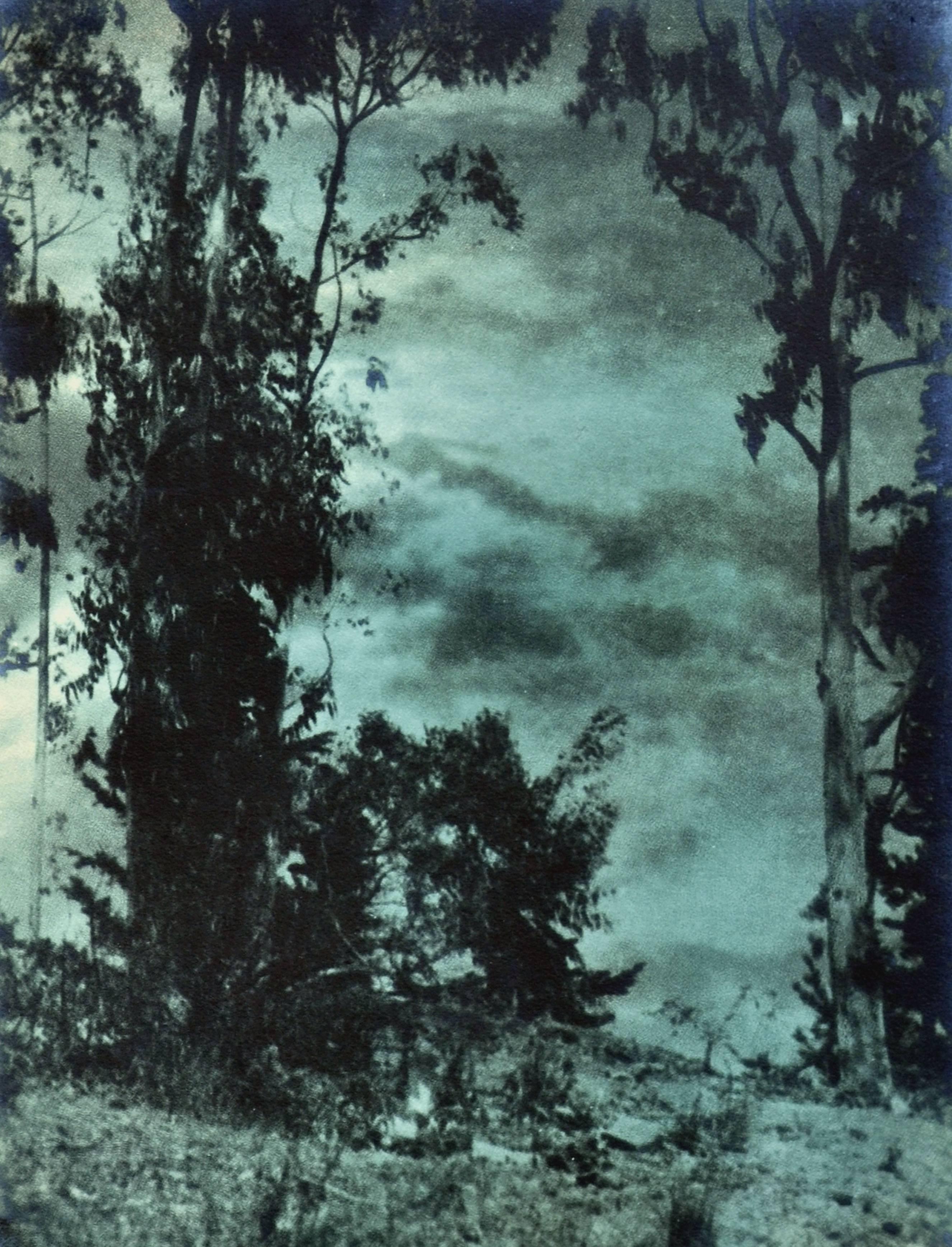 Early 20th Century Photograph Landscape --Looking Through The Sky - Gray Landscape Photograph by Sigismund Blumann