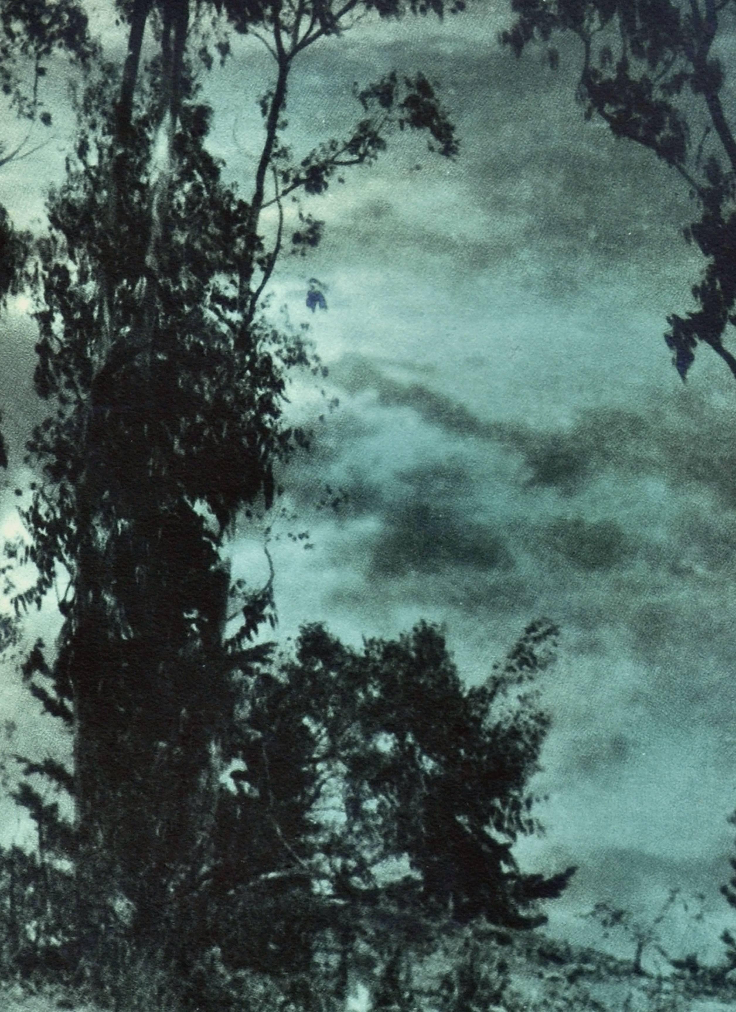 Paysage photographique du début du XXe siècle - Vue à travers le ciel - Gris Landscape Photograph par Sigismund Blumann