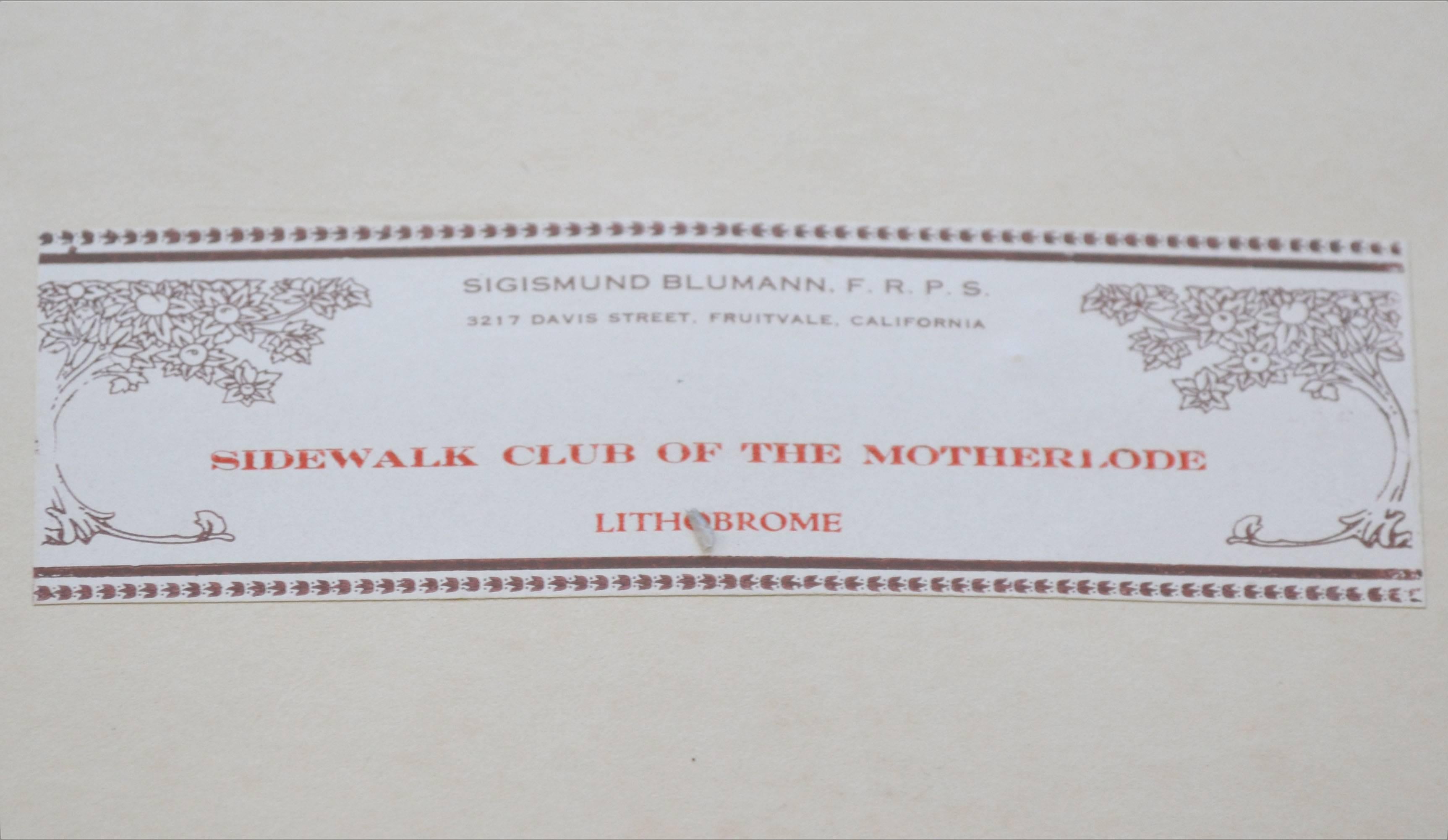 Early 20th Century Photograph -- Sidewalk Club of the Motherlode For Sale 2
