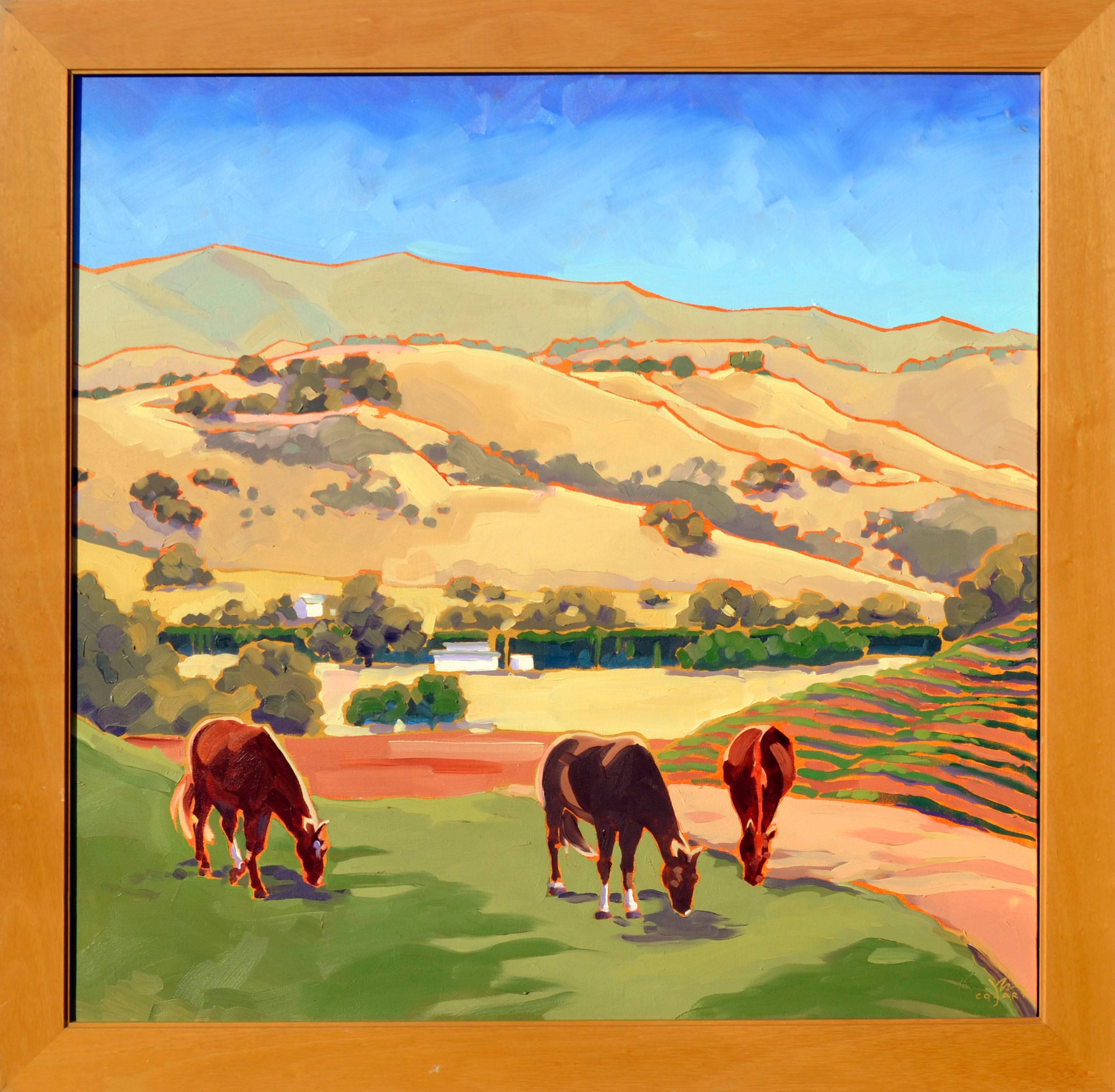 Wooden Valley California - Jane Cozart