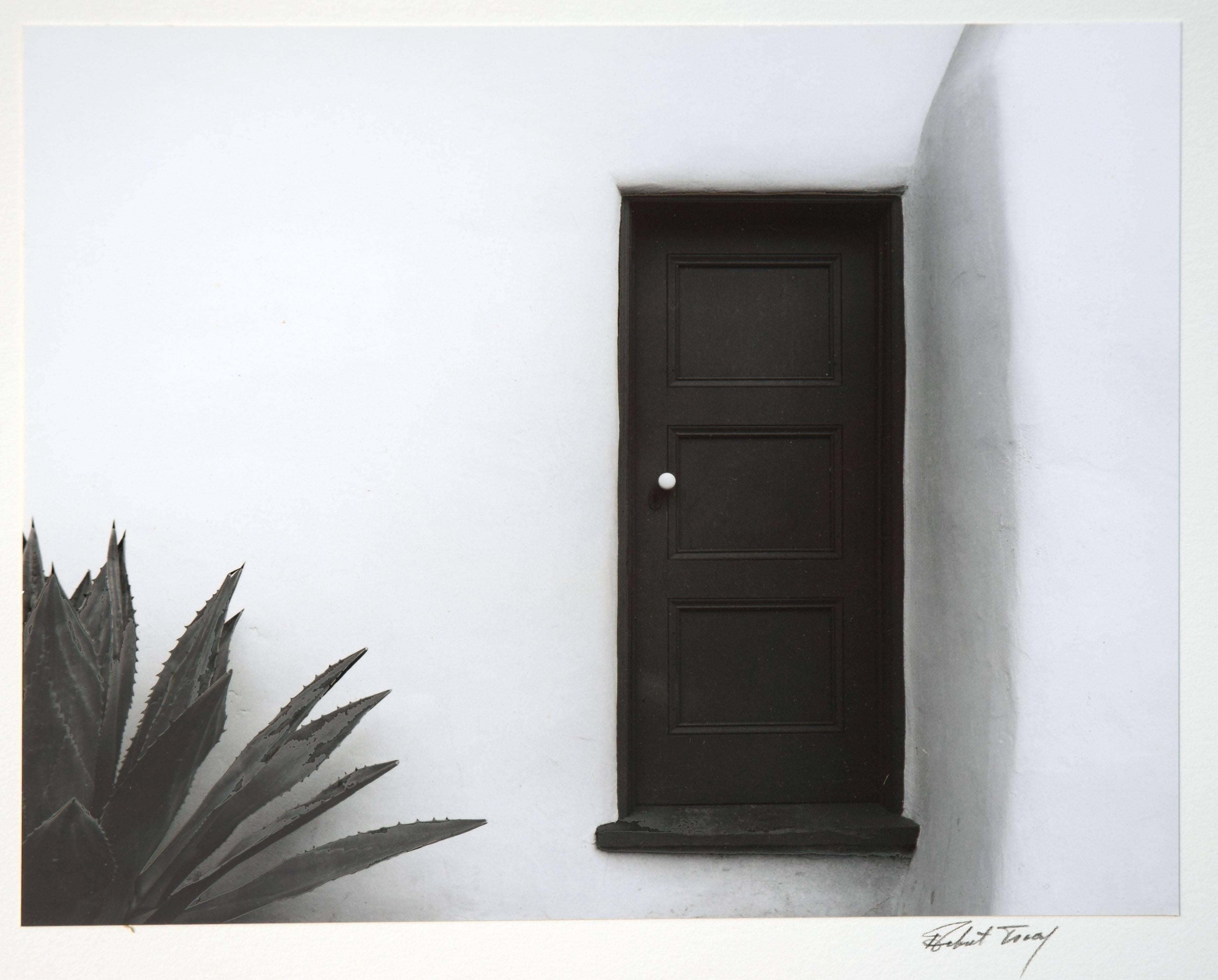 Adobe Door and Agave - Photograph by Robert Tracy
