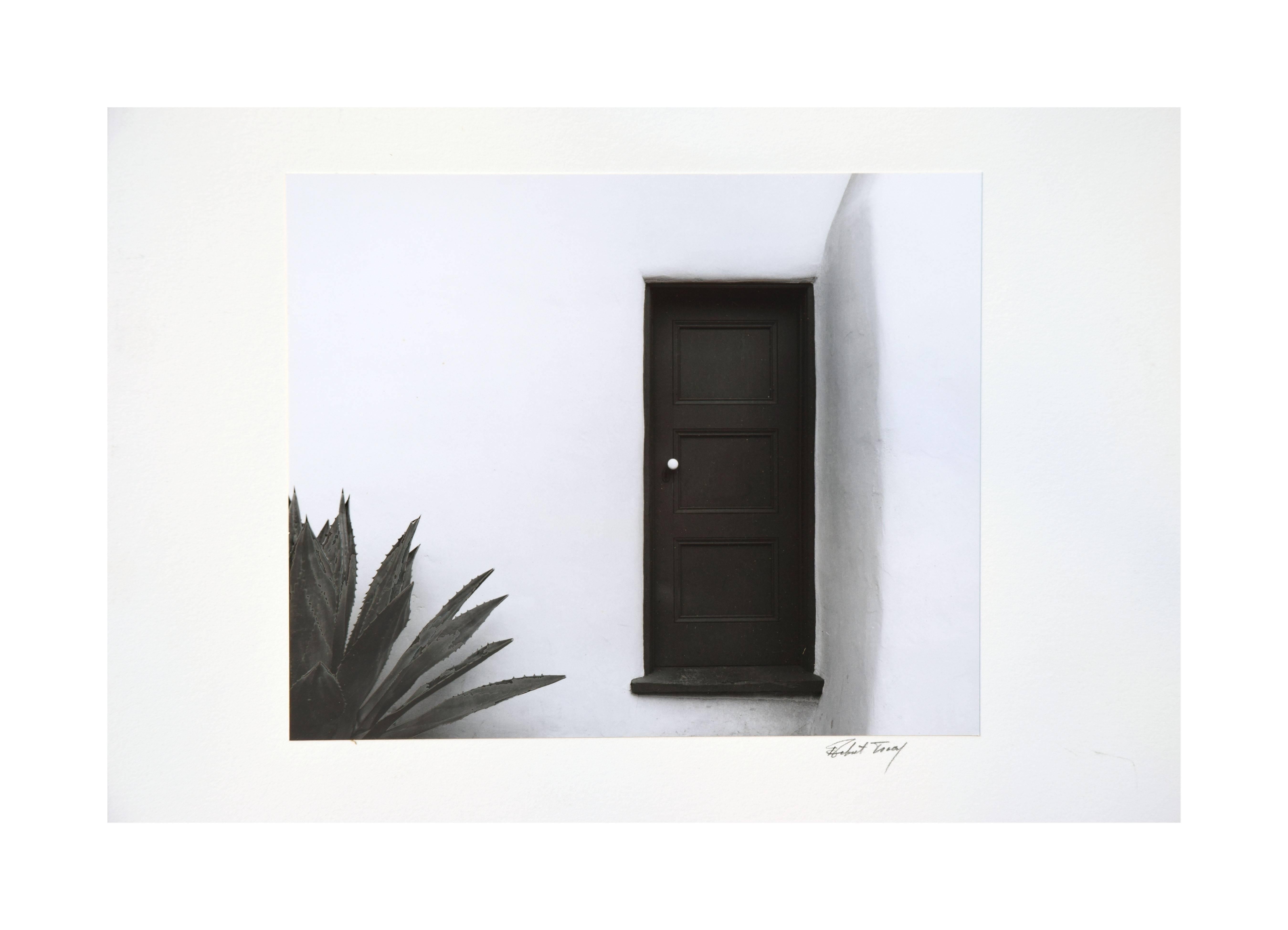 Robert Tracy Landscape Photograph - Adobe Door and Agave