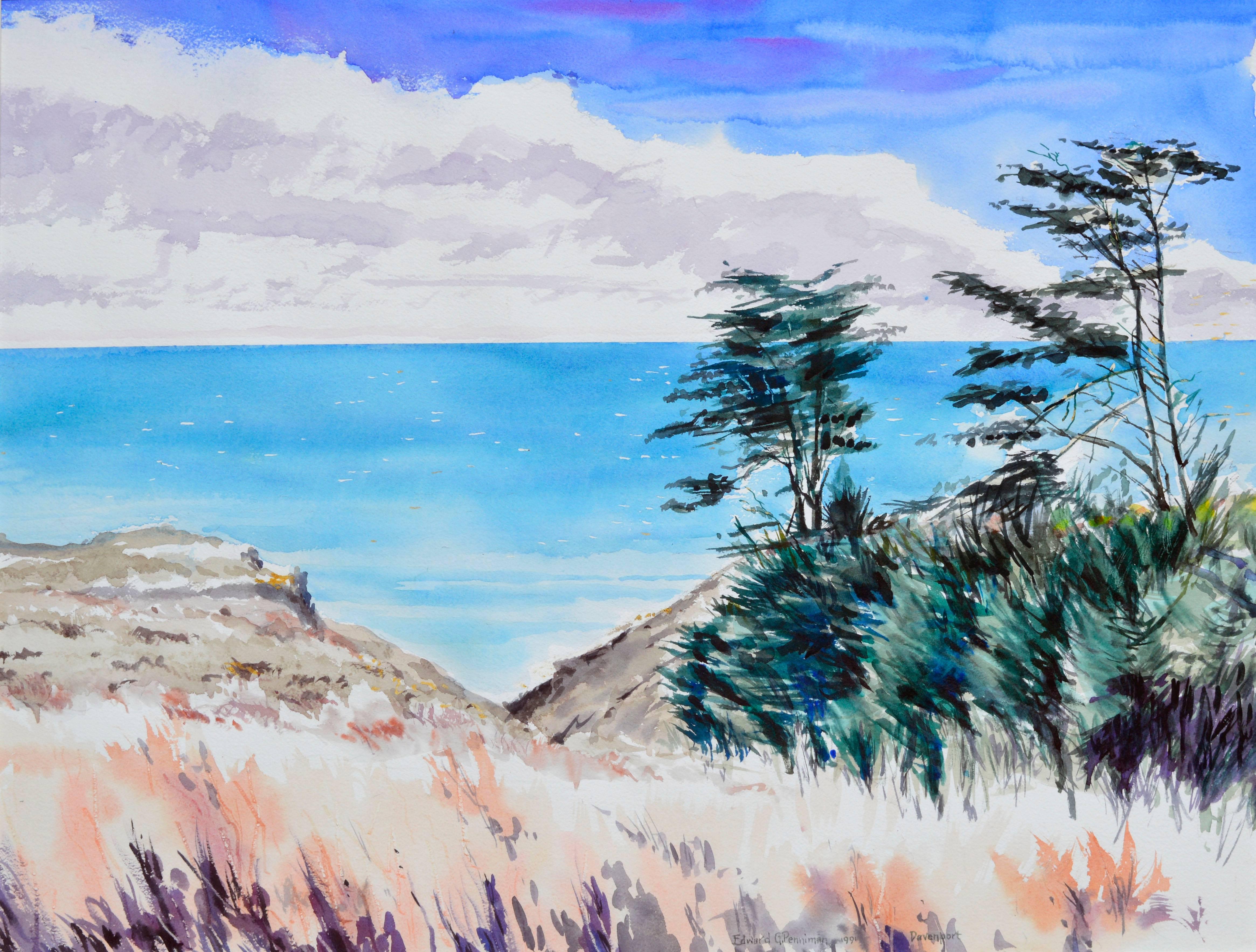 Paysage marin de Davenport, Californie - Painting de Edward Penniman