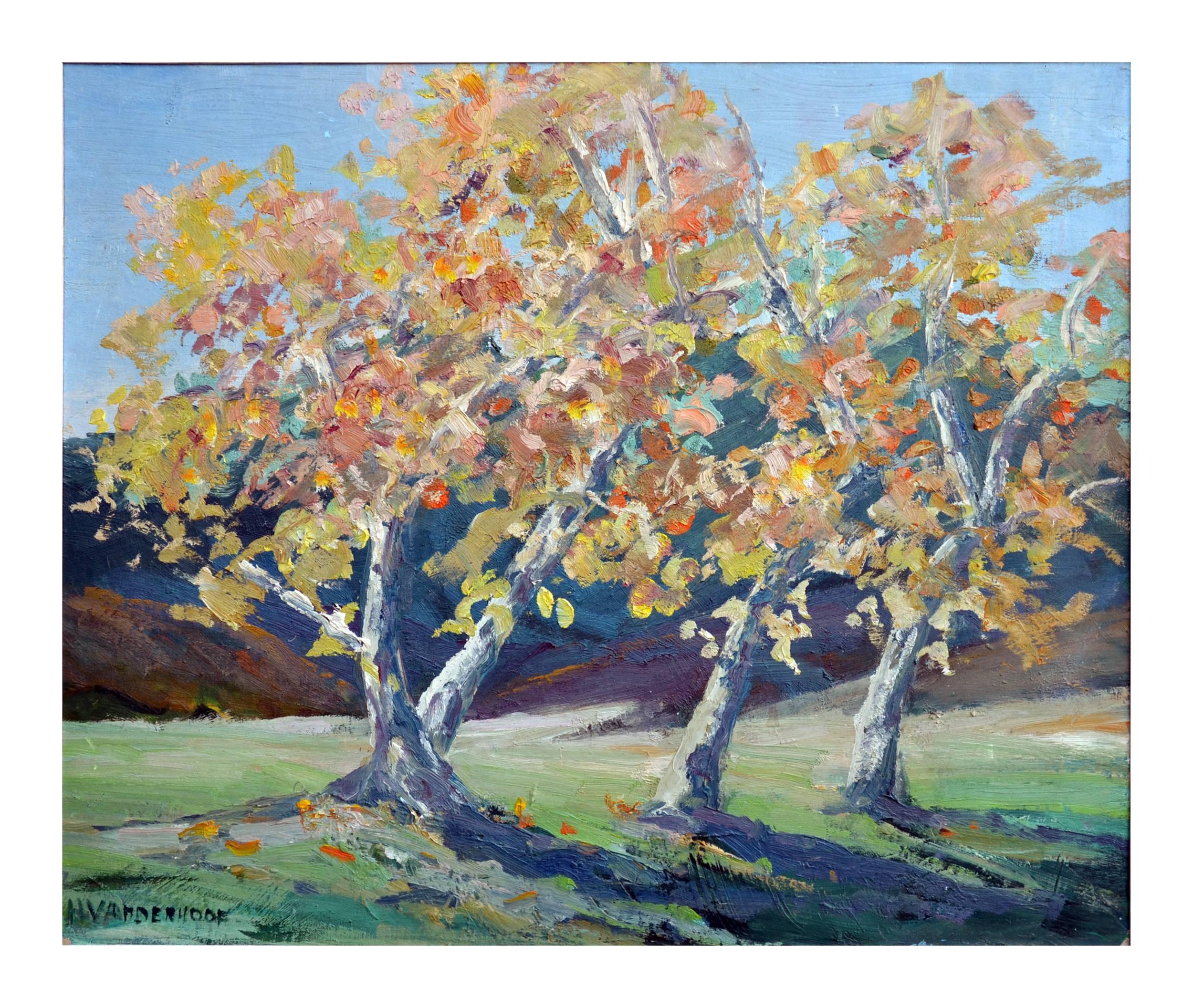 Frühjahr im Carmel Valley Sycamores-Landschaft – Painting von H. Vanderhoof