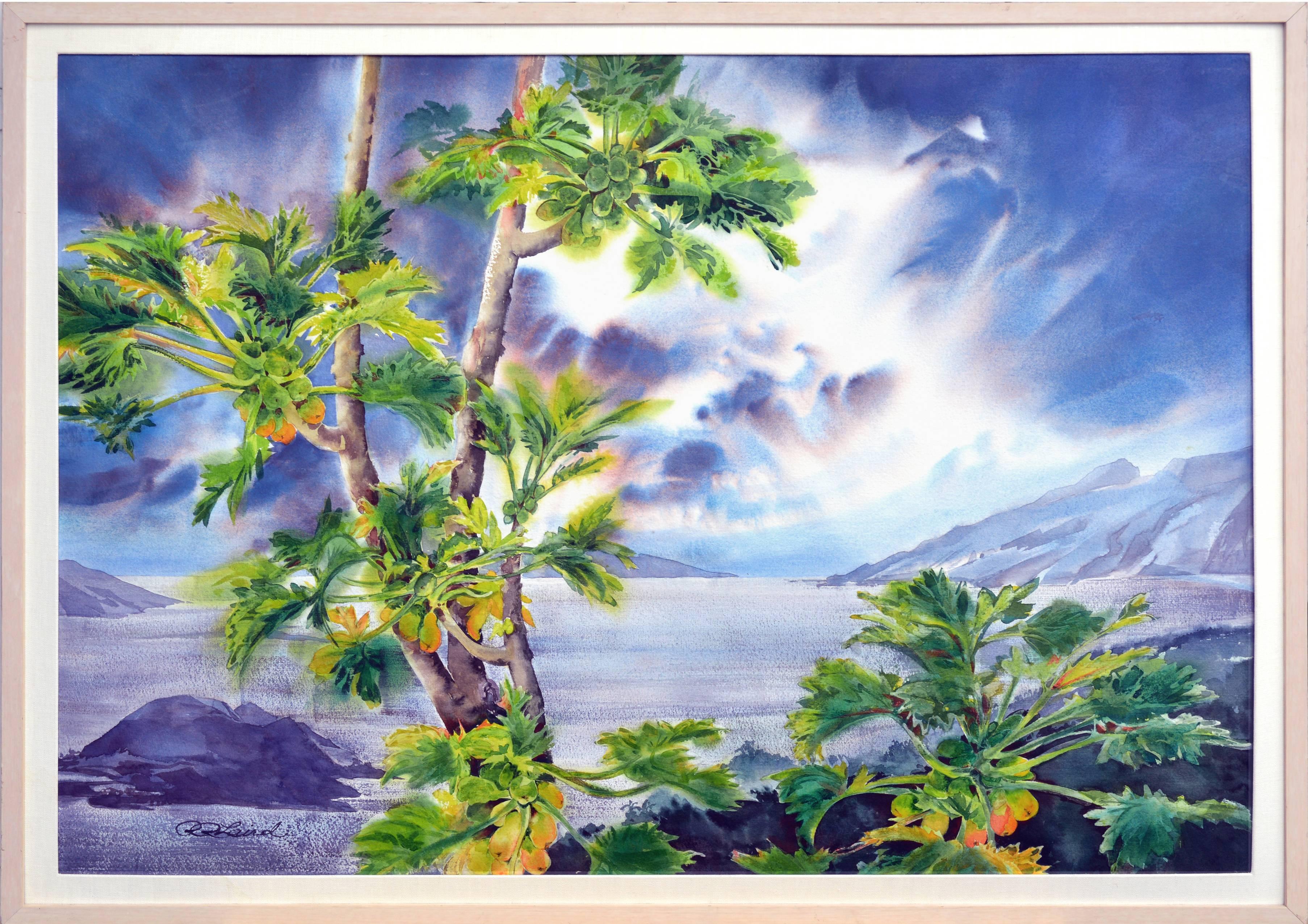 Robbie Laird Landscape Art - "Ulupalakua Evening", Large-Scale Maui Hawaiian Tropical Landscape Watercolor