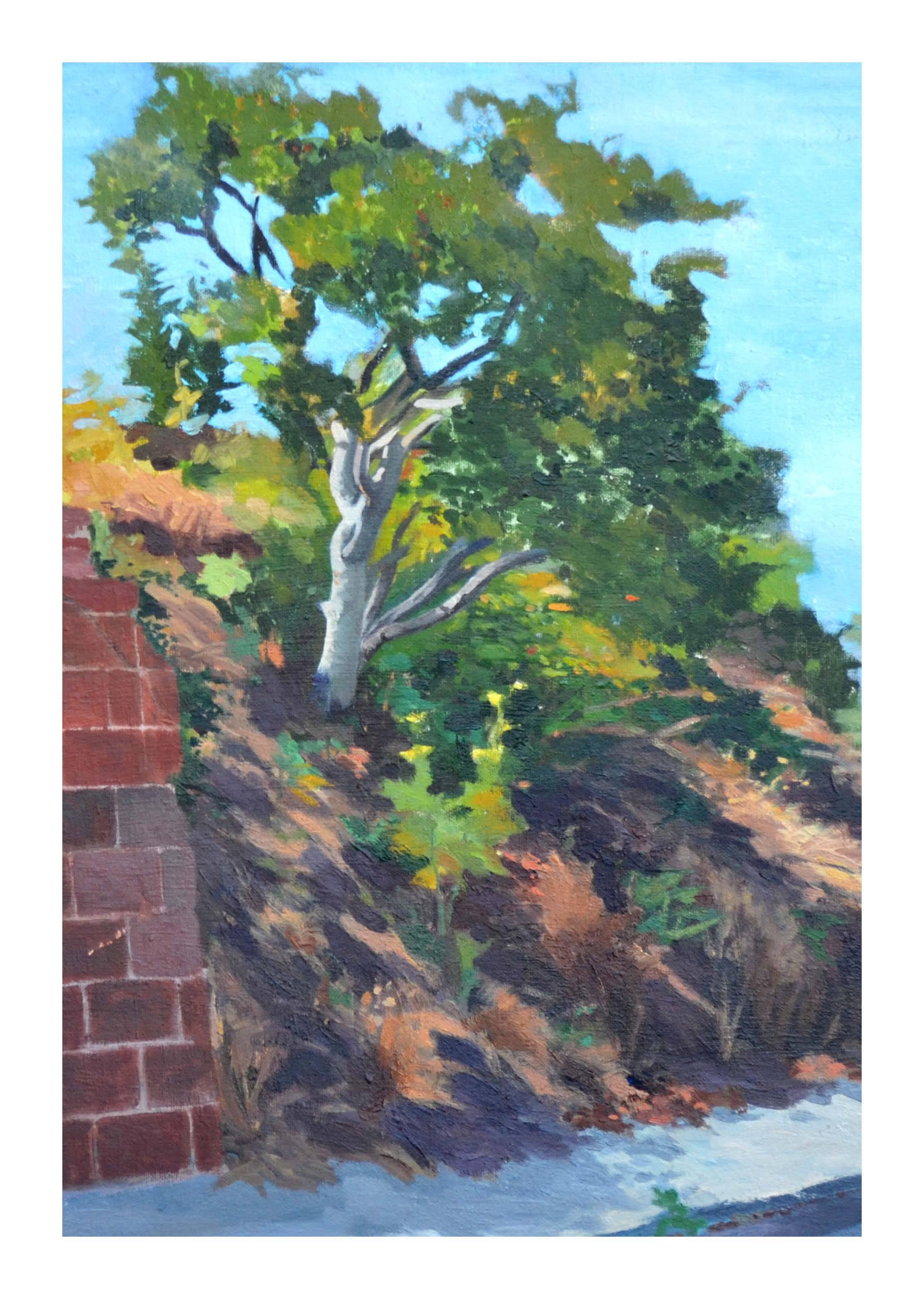 Early 20th Century Landscape -- Hillside Oak with Brick Wall - Painting by Gustave Cimiotti Jr.