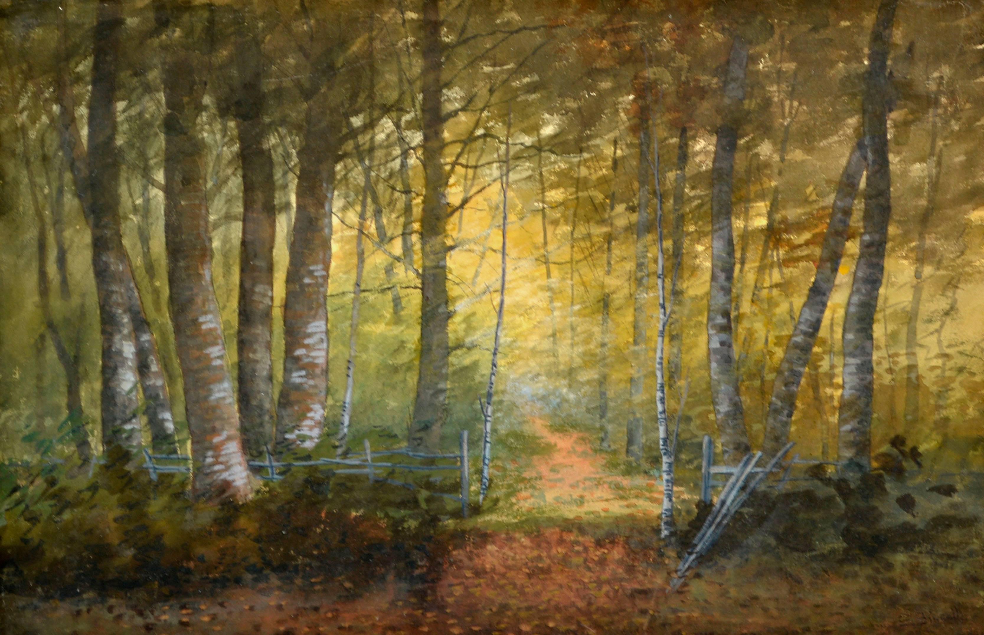 Turn of Century Birch Forest Glow Suffolk County, New York Landscape - Painting by Susan Field Bissell
