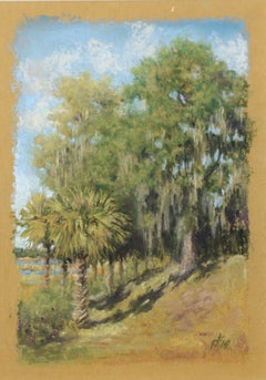 « Spring Time Bluff » : dessin réaliste au pastel représentant un paysage de Caroline du Sud