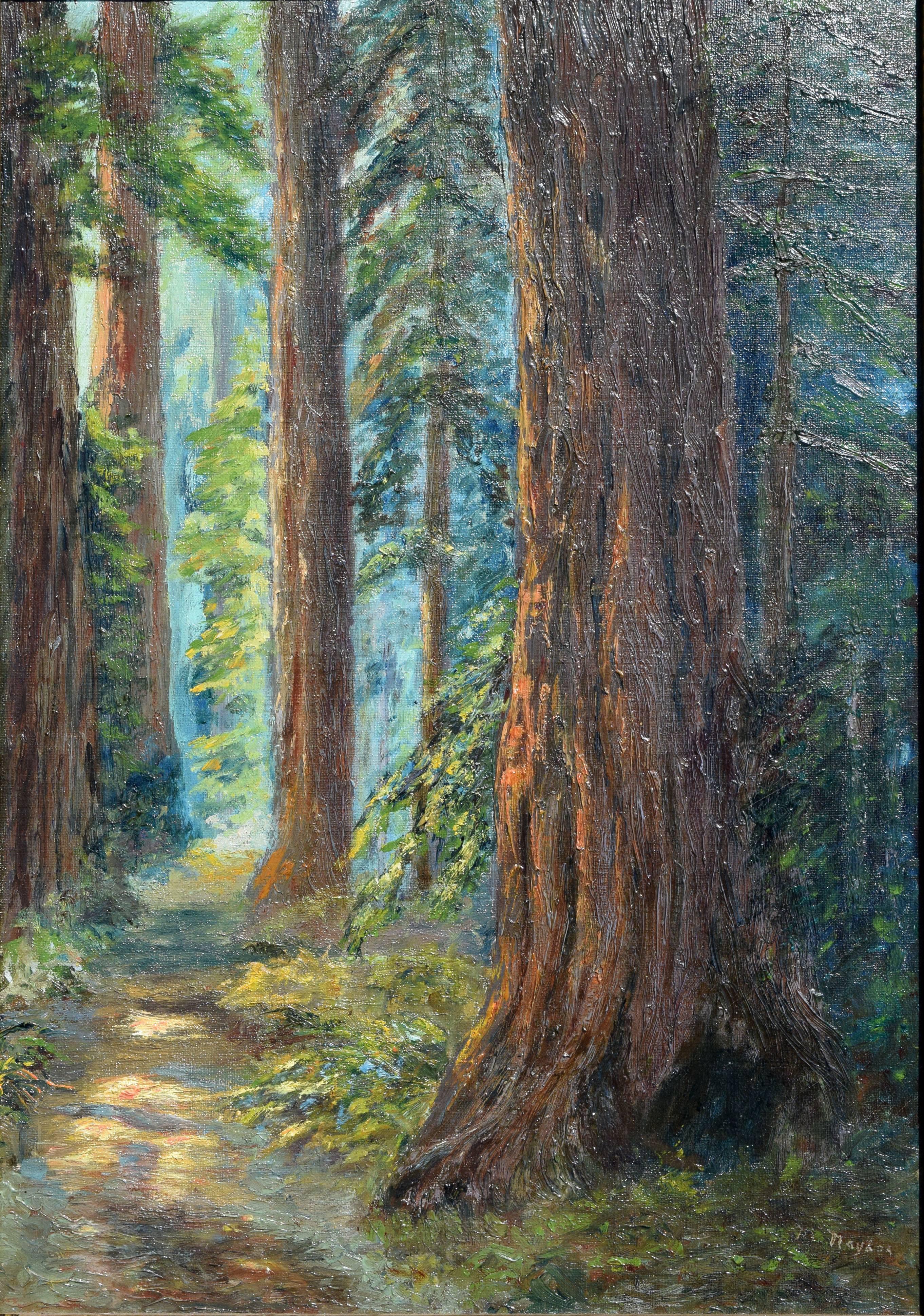 Redwood Groves, Santa Cruz County 1924 - Painting by Leonora M. Naylor Penniman
