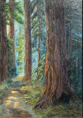 Redwood Groves, Santa Cruz County 1924