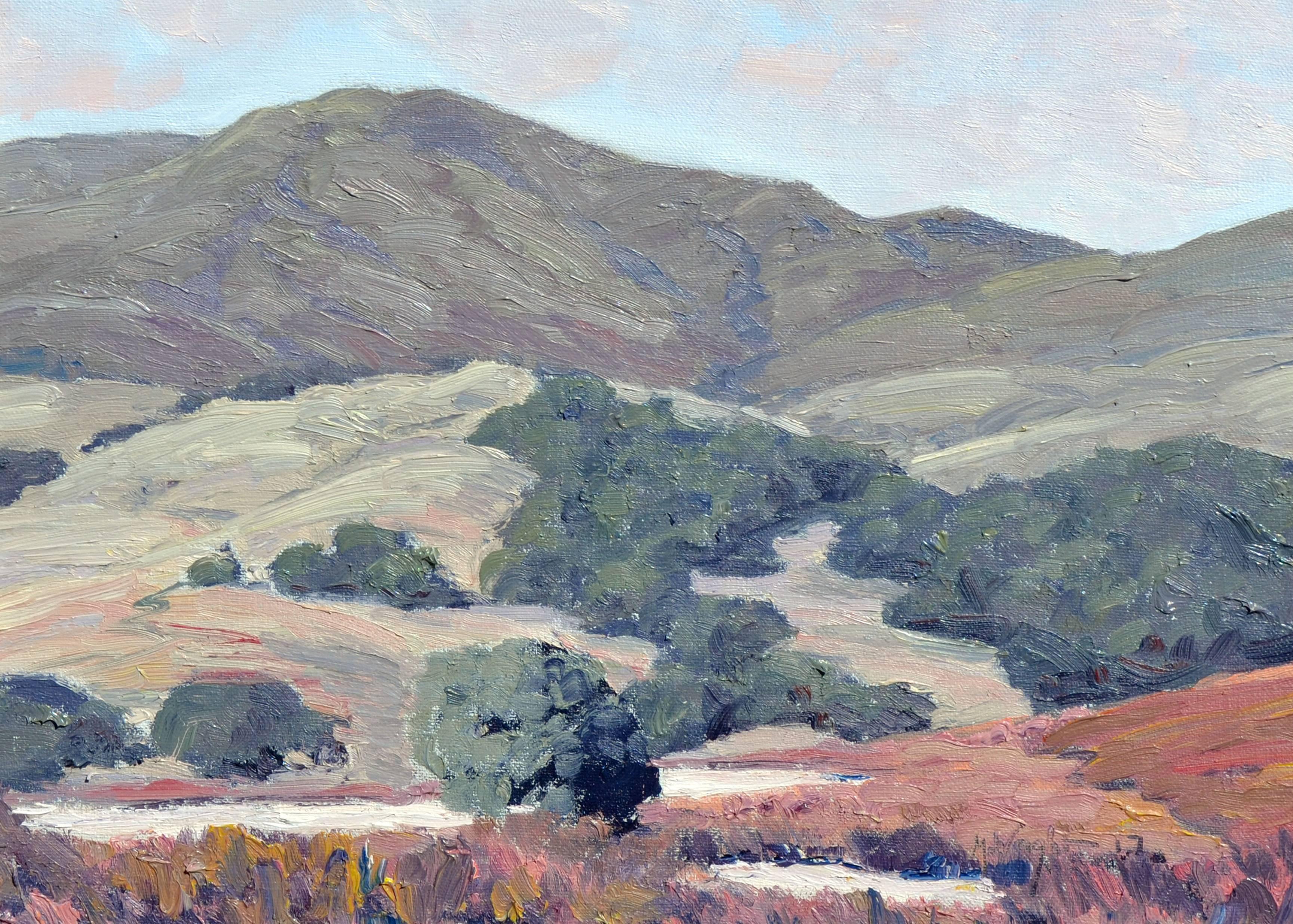 California Hills - Painting by Michael Wright
