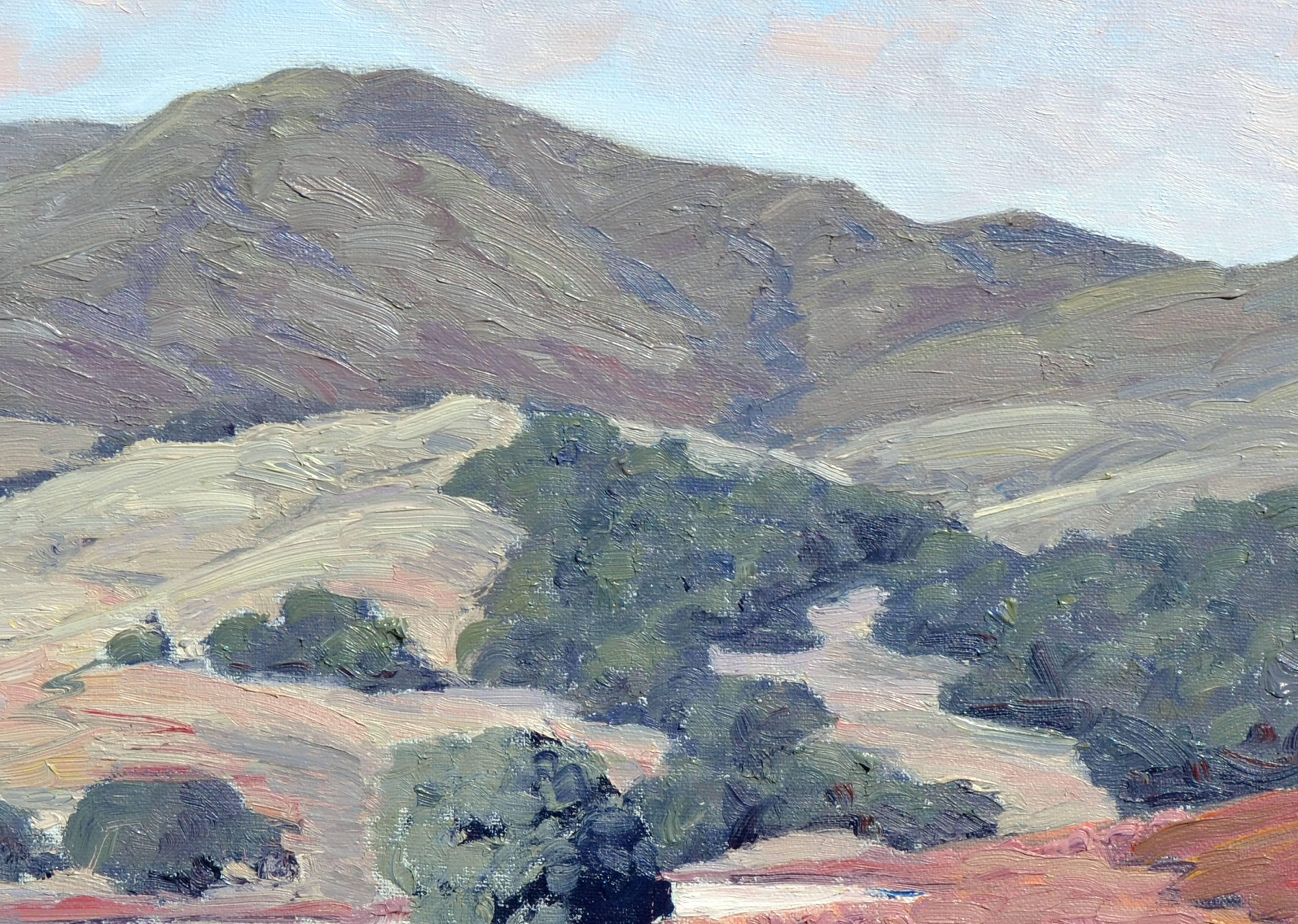 California Hills - Brown Landscape Painting by Michael Wright