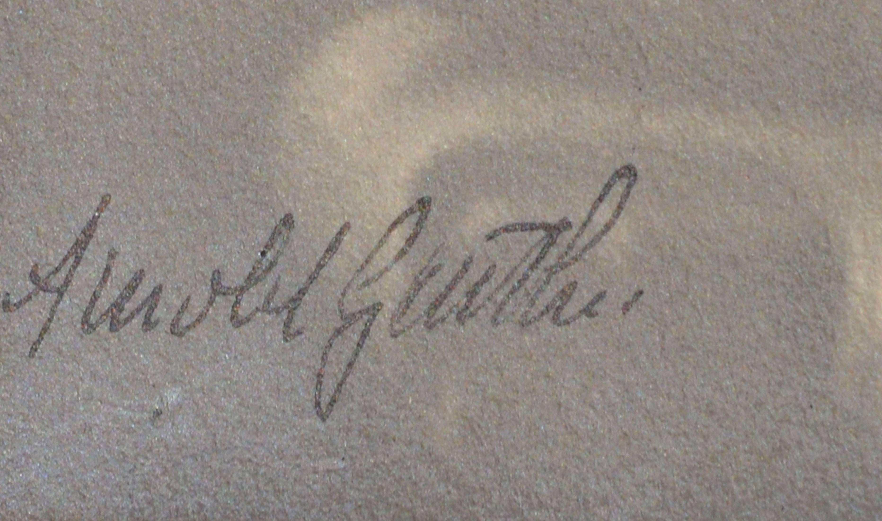 Der Sohn des Dichters Billie 1898 (Beige), Portrait Photograph, von Arnold Genthe