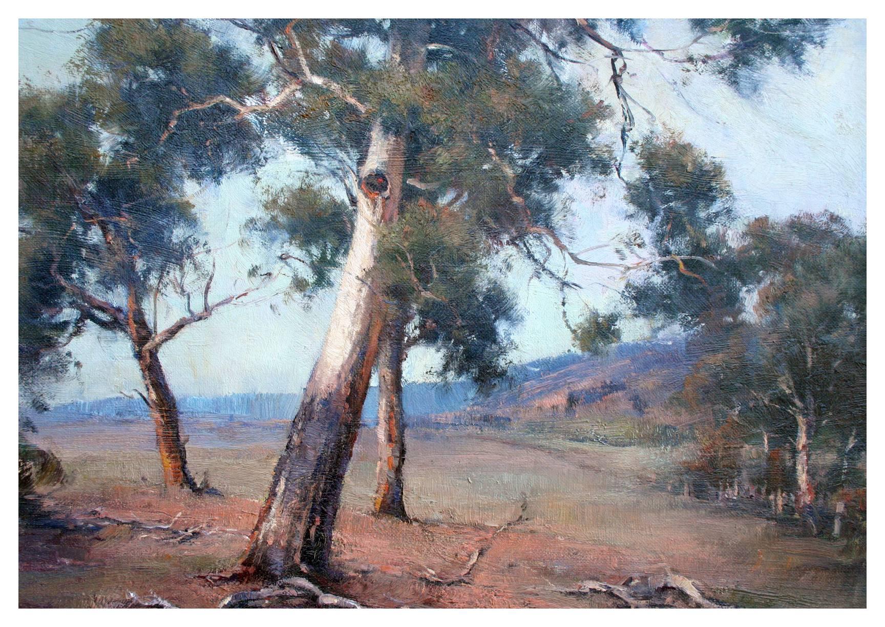 Australian Gum Trees Landscape - Painting by John Sharman (b.1947)