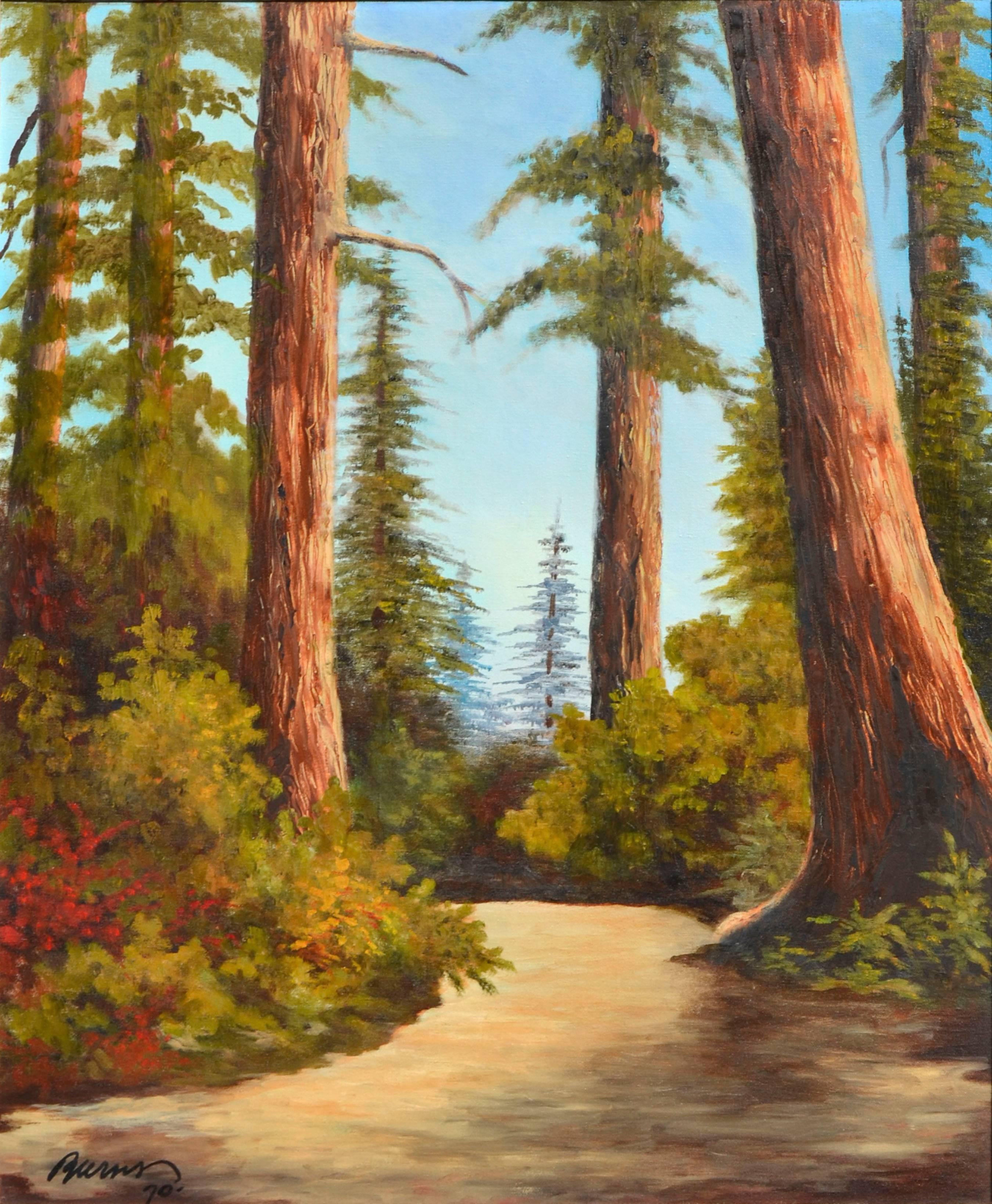 California Redwoods Trail - Burns 1