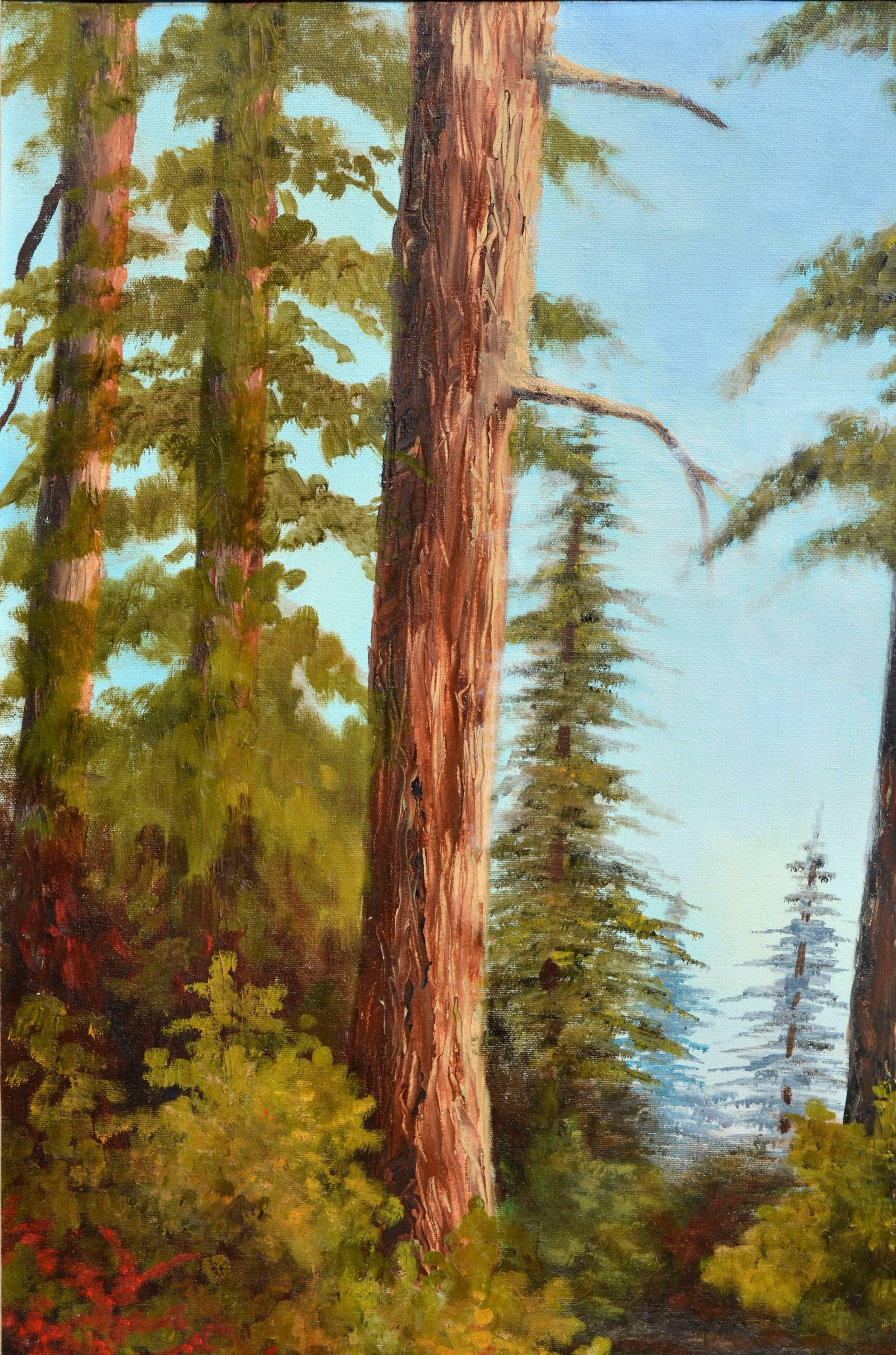 California Redwoods Trail - Burns 2