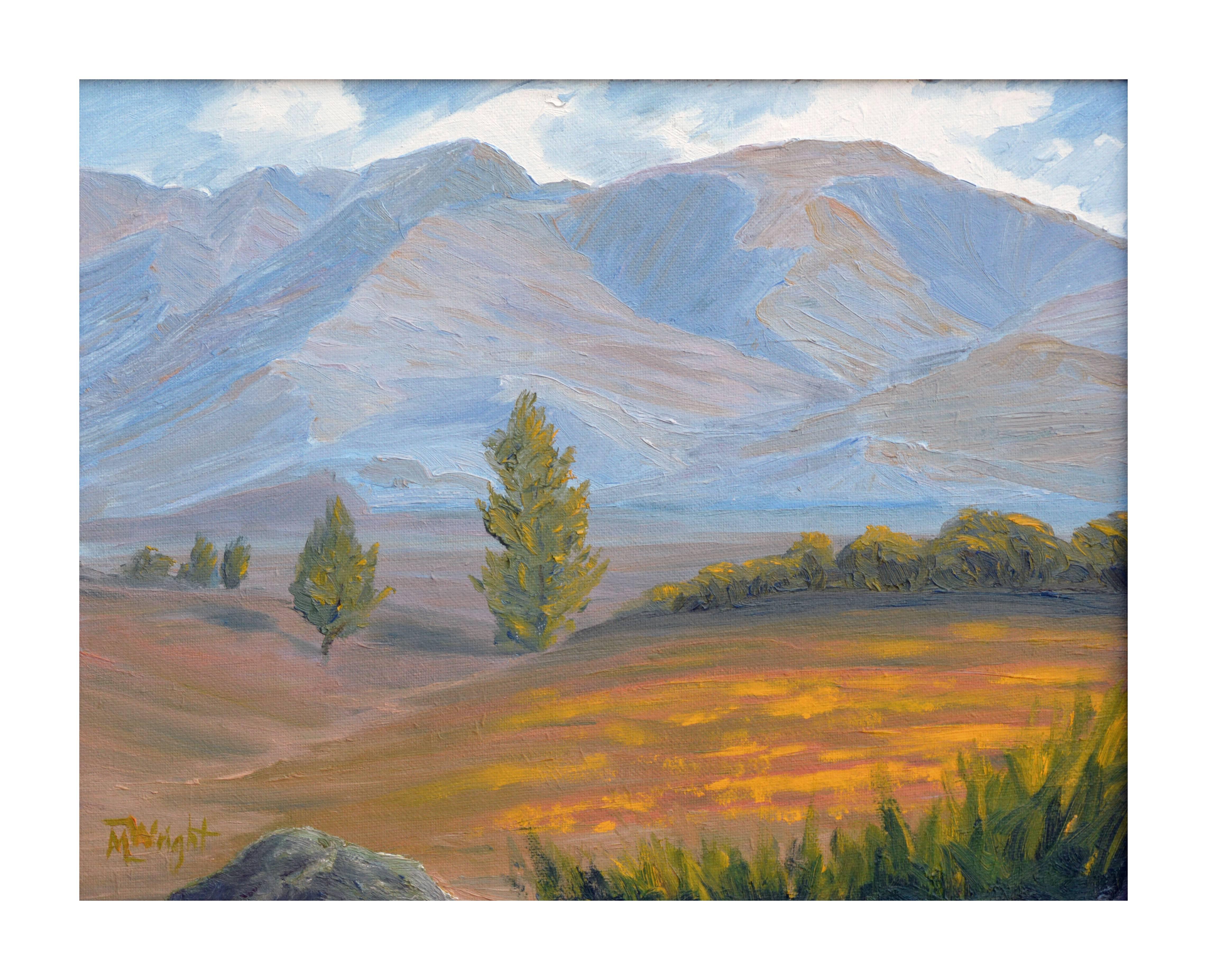 Desert Poppies - Painting by Mike Wright