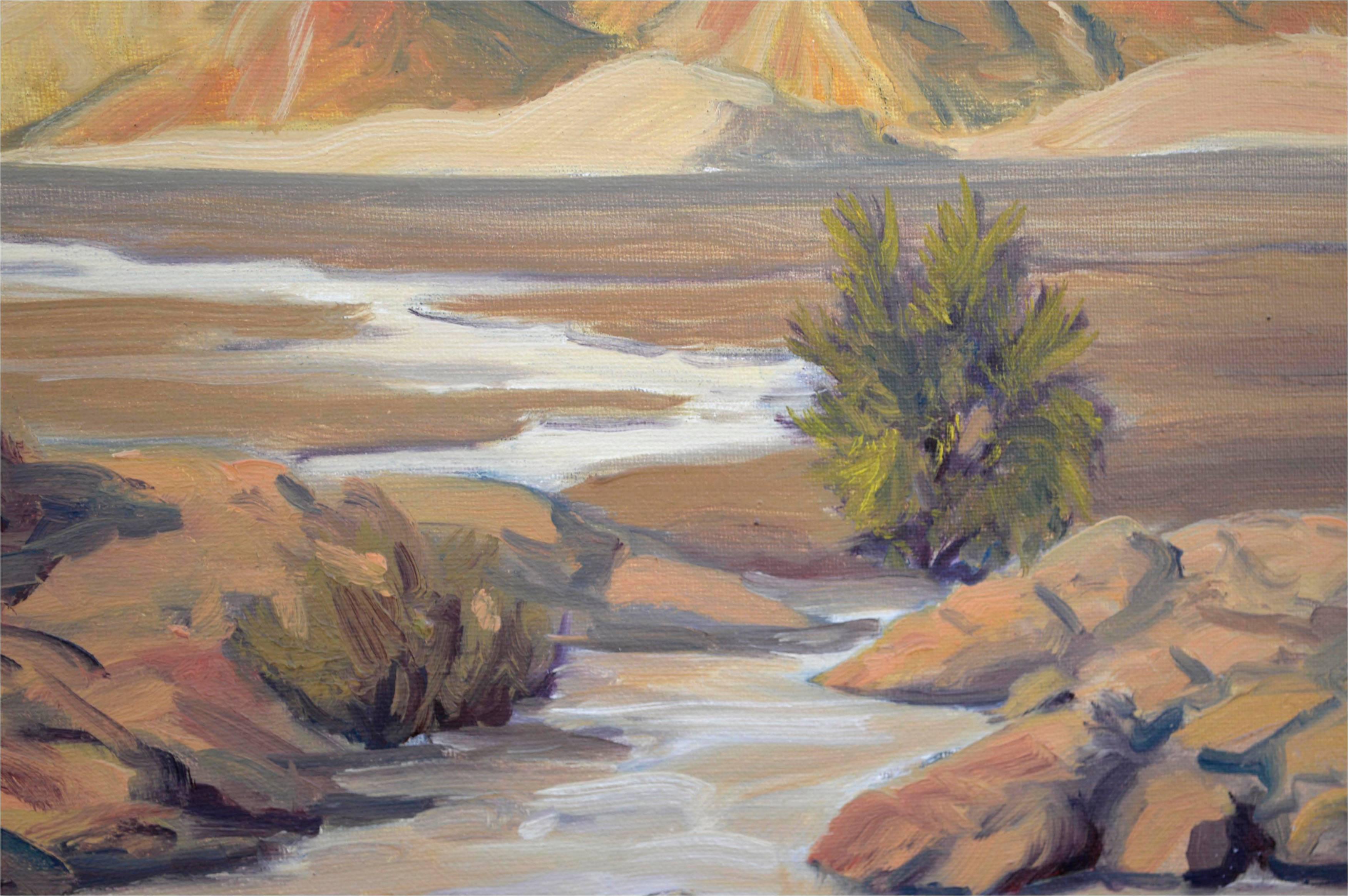 Paesaggio del deserto della Panamint Valley - Painting Impressionismo americano di Mike Wright