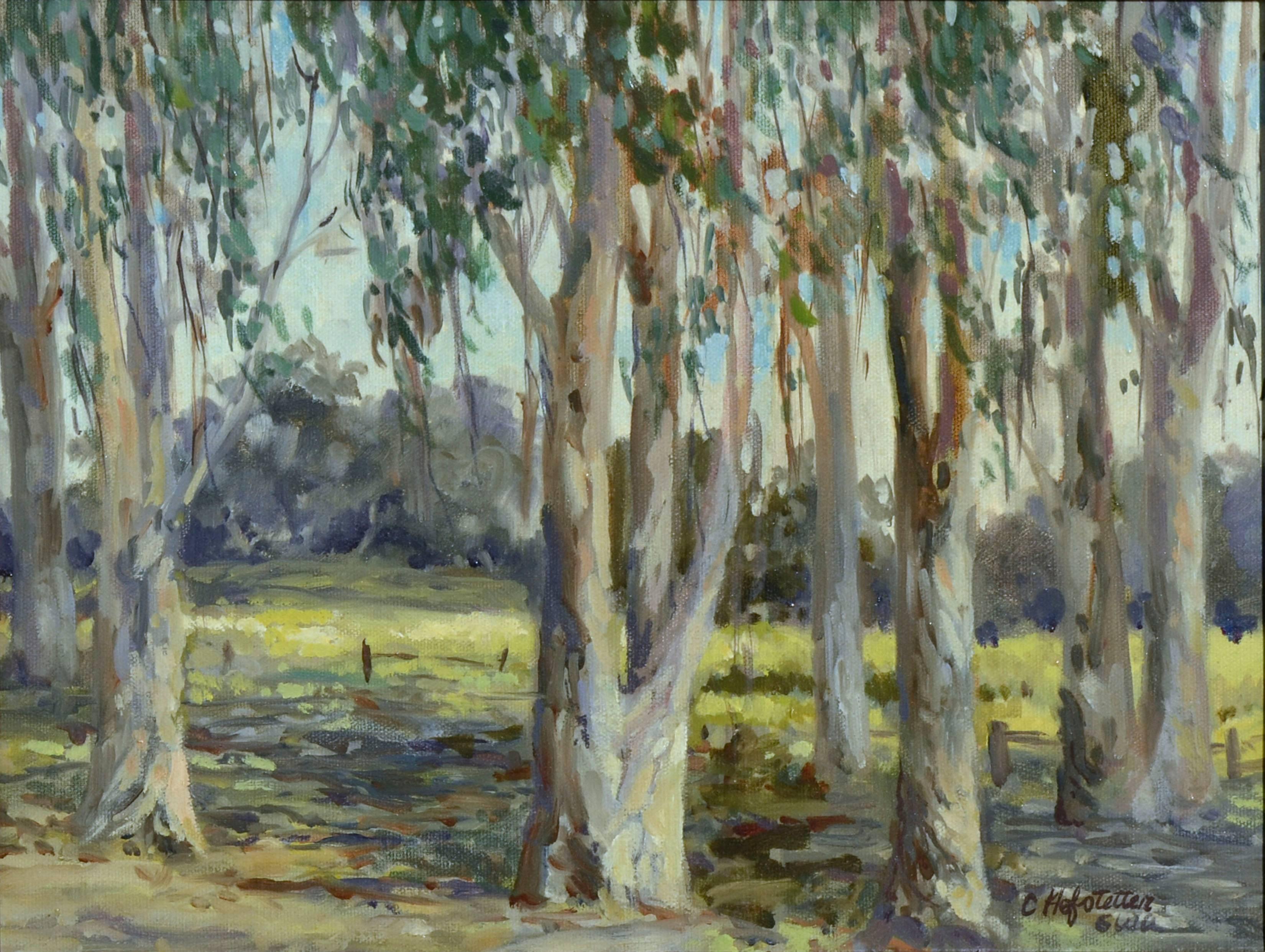 Eucalyptus Grove California Landscape - Painting by Carolyn Hofstetter