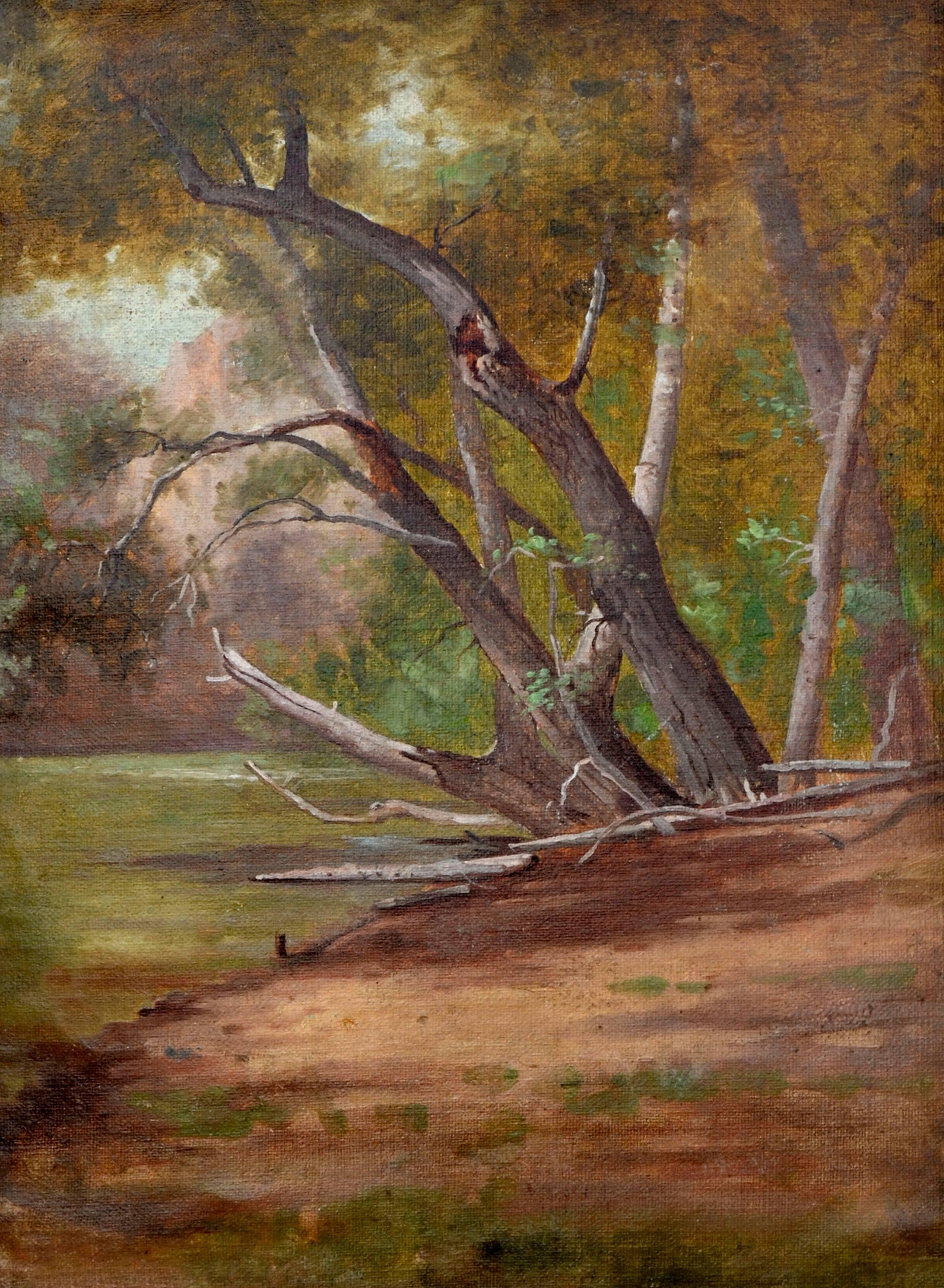 Im Stil von Henry Chapman Ford aus den 1890er Jahren am Creek in Santa Barbara – Painting von Unknown