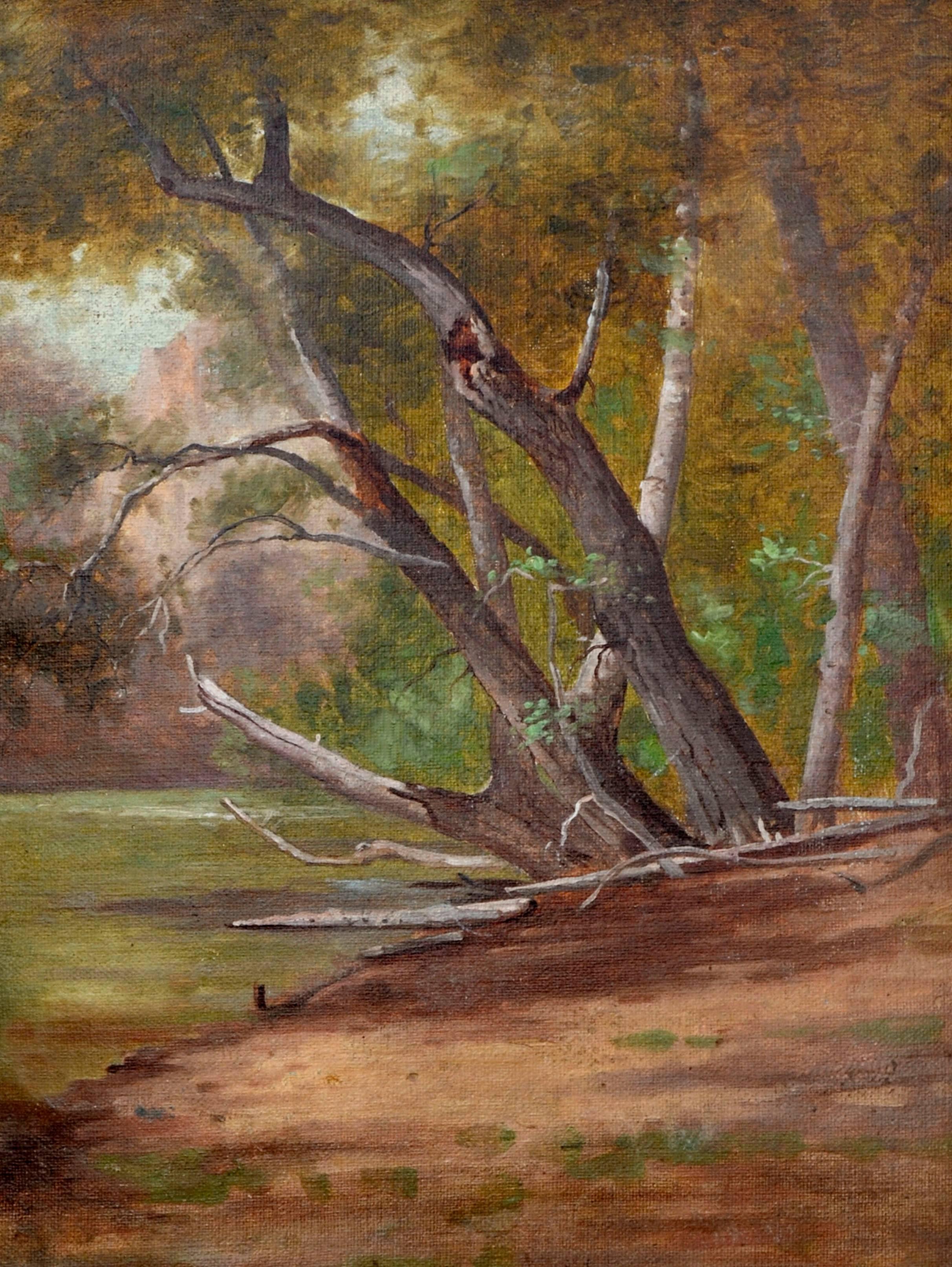 Im Stil von Henry Chapman Ford aus den 1890er Jahren am Creek in Santa Barbara (Amerikanischer Impressionismus), Painting, von Unknown