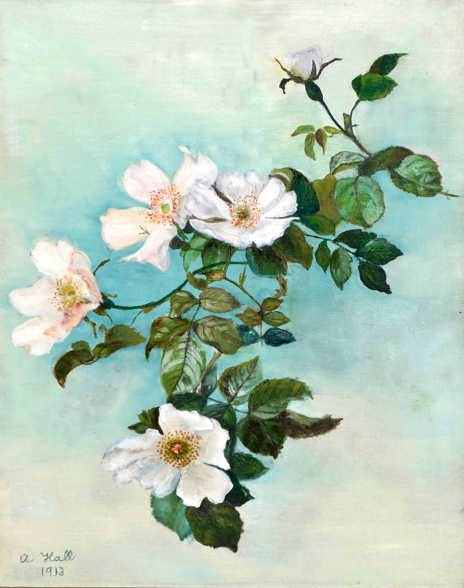 Early 20th Century Still Life of Sally Holmes Roses - Painting by A. Hall